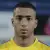 Mahmoud  El Badry