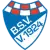 Brinkumer SV