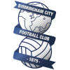 Birmingham logo