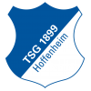 Hoffenheim logo