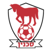 Sakhnin logo