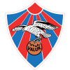 Valur Reykjavik logo